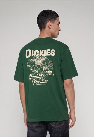 Maglietta 'Berryfield' di DICKIES in verde: frontale