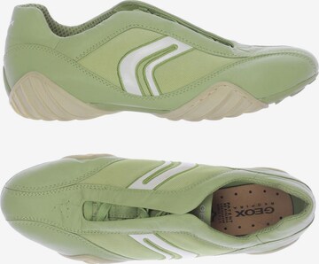 GEOX Sneakers & Trainers in 41 in Green: front
