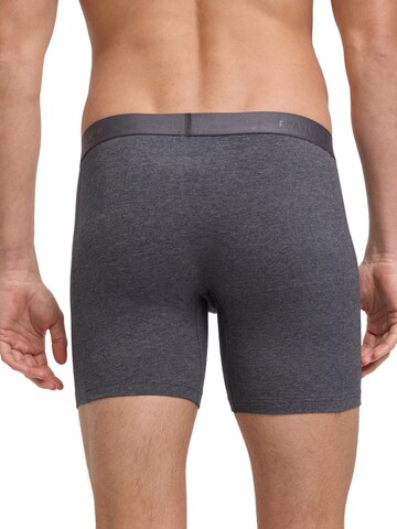 FALKE Boxer shorts '2-Pack Long Leg' in Grey
