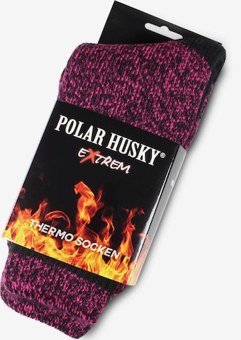 Polar Husky Socken 'Extrem Hot' in Pink