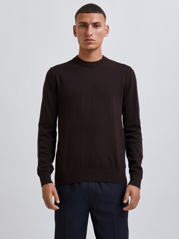 Bertoni Sweater 'Jonas' in Brown: front