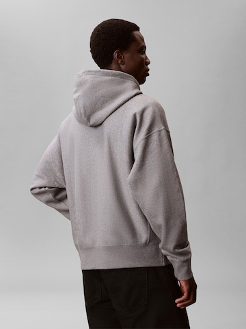 Calvin Klein Sweatshirt in Grey