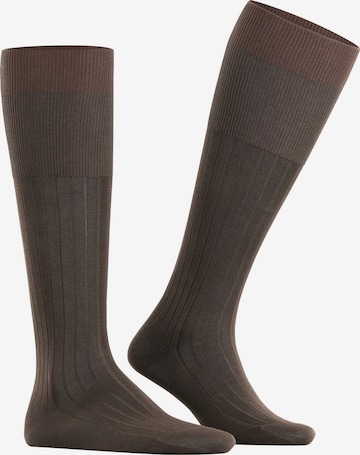 FALKE Knee High Socks 'Milano' in Brown: front