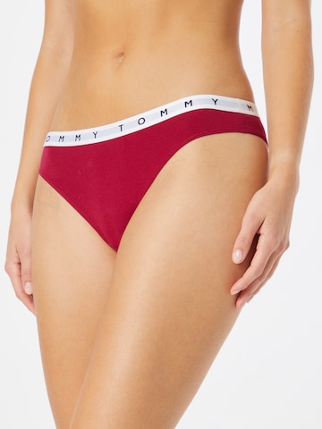 Tommy Hilfiger Underwear Panty in Mixed colors: front