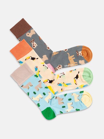 Chaussettes 'Animal Attitude' DillySocks en mélange de couleurs
