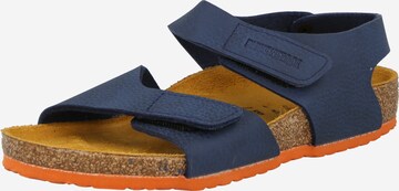 BIRKENSTOCK Sandaalid 'PALU', värv sinine: eest vaates