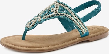 LASCANA T-Bar Sandals in Blue: front