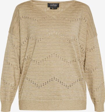 usha BLACK LABEL Sweater in Beige: front