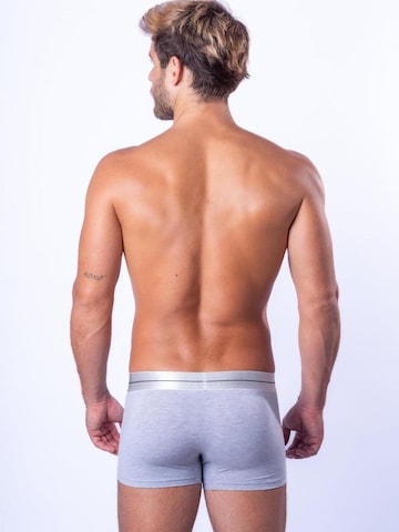 BIMONI Boxershorts 'Cotton Modal' in Grau