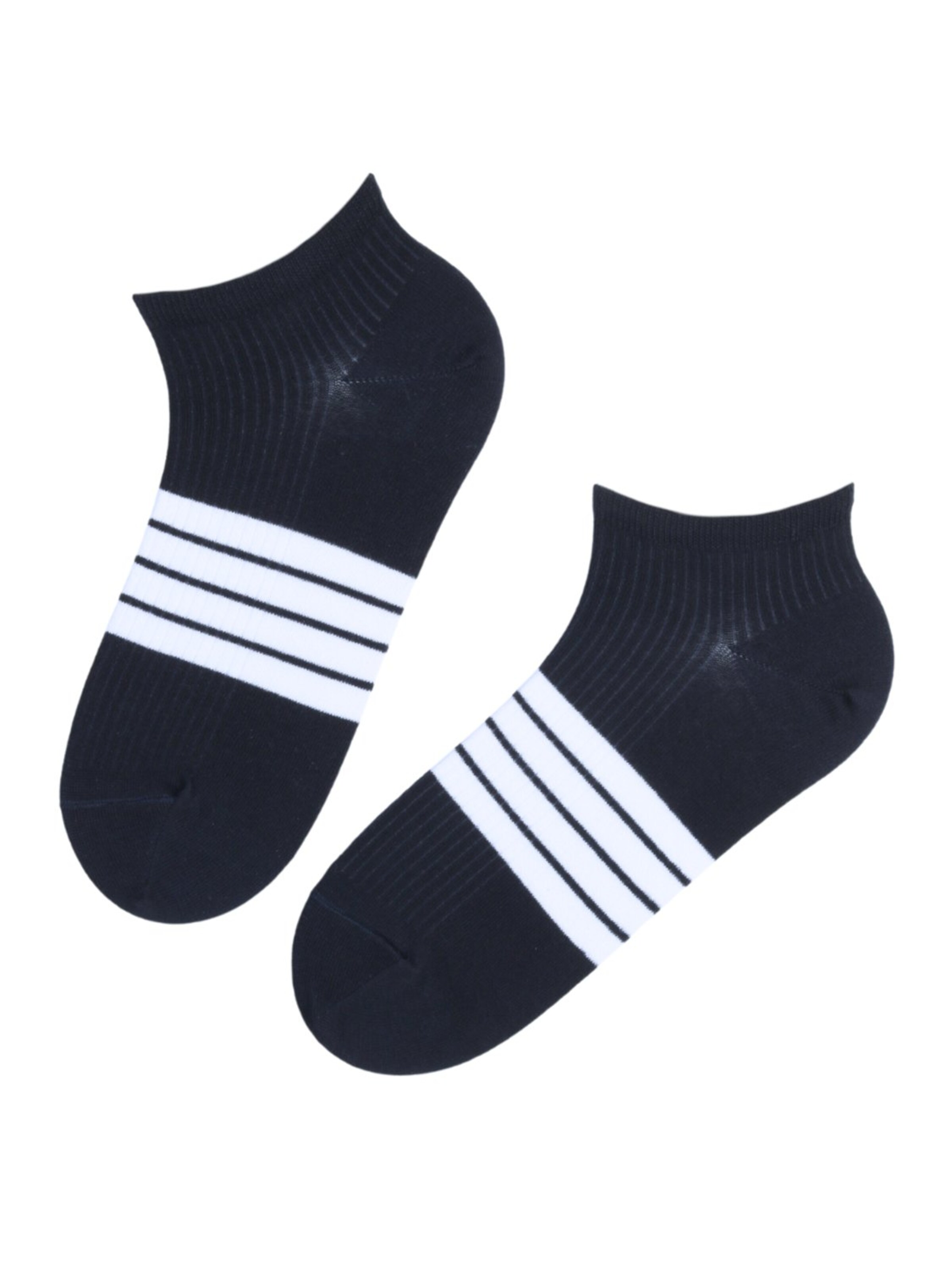 Sokisahtel - Calcetines 'RICCO low-cot striped cotton socks' en azul: frente
