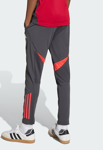 ADIDAS PERFORMANCE Slim fit Sports trousers 'FC Liverpool Tiro 25 Competition' in Grey