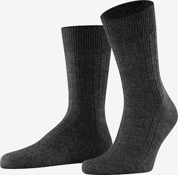 FALKE Socks 'Teppich im Schuh' in Grey: front