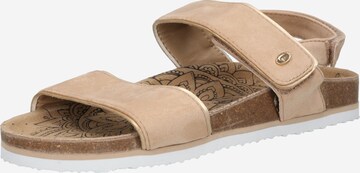 Tom tailor damen schuhe - Der absolute Testsieger unserer Produkttester