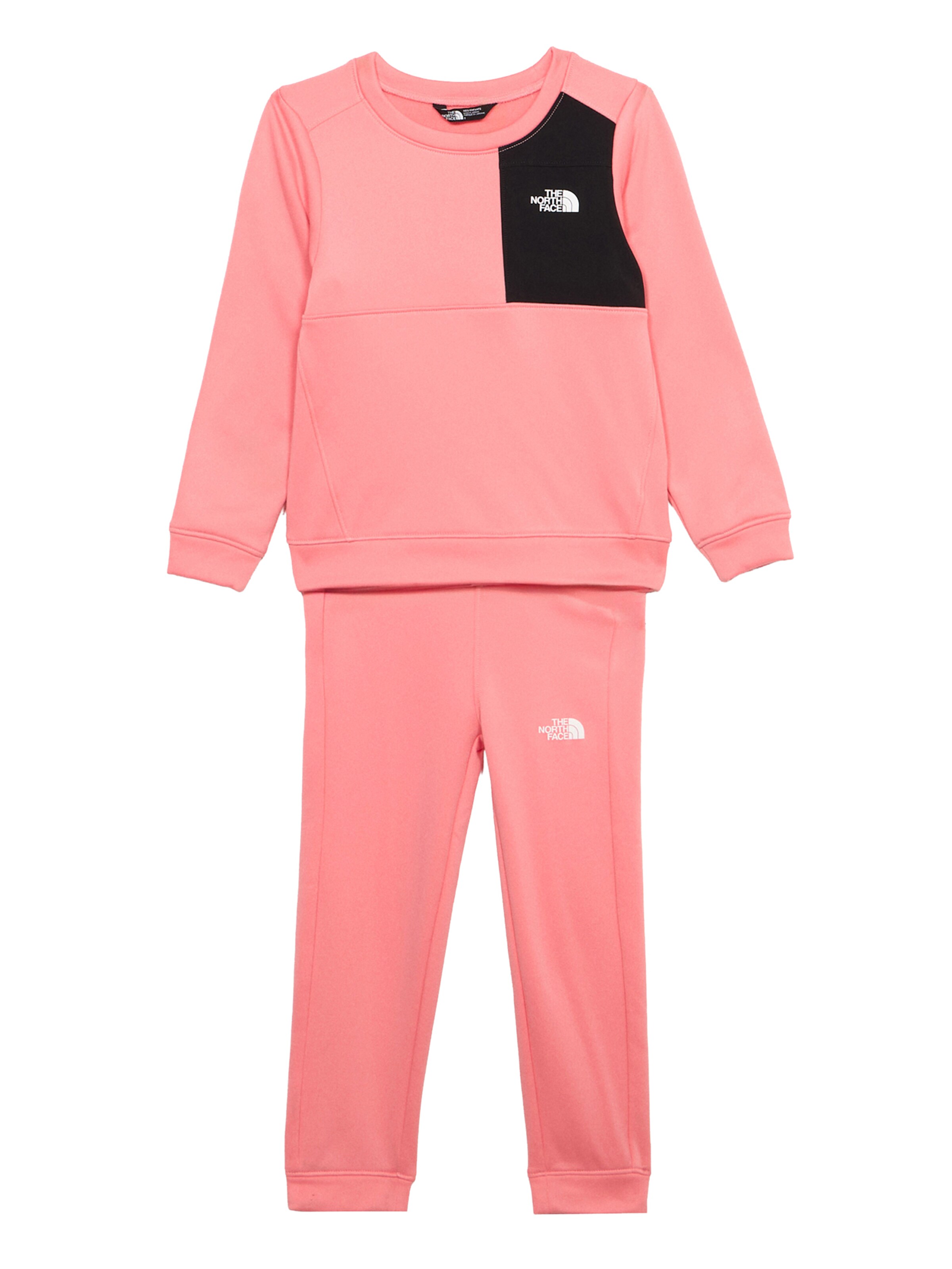 THE NORTH FACE Strój treningowy w kolorze różowy: przód