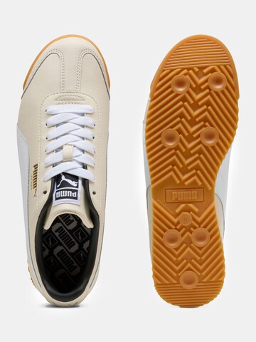 PUMA Sneaker 'Roma 24' in Beige