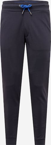 Petrol Industries Pants in Grey: front