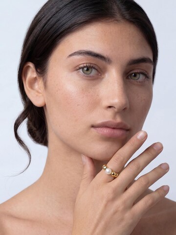 Akitsune Ring 'Briliance' in Gold