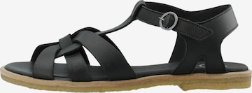 Ca'Shott Remmisandaalit 'Gitta' värissä musta: etupuoli