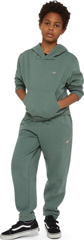 DICKIES Bluza 'Youth Oakport' w kolorze zielony
