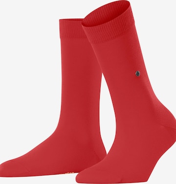 BURLINGTON Socks 'Brit Style' in Purple: front