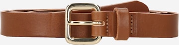 VANZETTI Belt in Brown: front