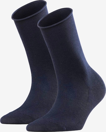 FALKE Socks in Blue: front