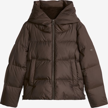 Veste mi-saison Marc O'Polo en marron : devant