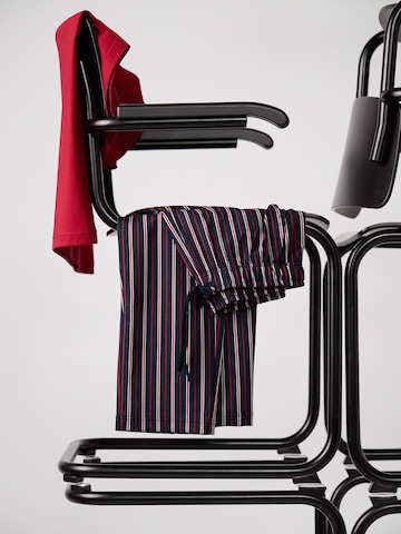 CALIDA Shirt‌‌‌‌‌‌ in Rot