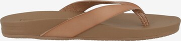 REEF T-Bar Sandals 'Cushion' in Brown