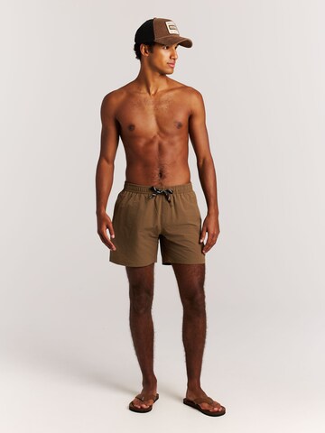 PROTEST Swimming shorts 'PRTAgden' in Brown