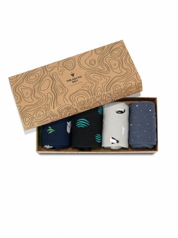 The Arctic Bay Socks 'AUSTRAL EDITION Gift box 4 Pack Unisex' in Mixed colours