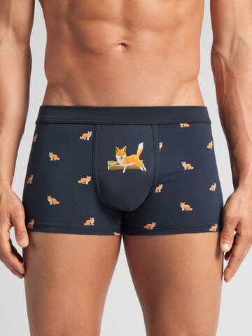 IUMAN Boxershorts in Blau: Vorderseite