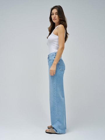 Salsa Jeans Loosefit Jeans in Blauw
