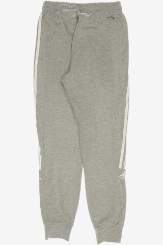 ADIDAS PERFORMANCE Pants in XS in Grey