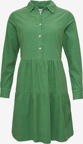 VICCI Germany Dress in Green: front