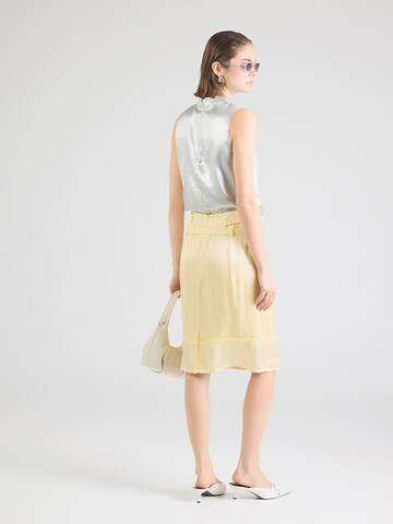 IRO Skirt 'NALIA' in Yellow