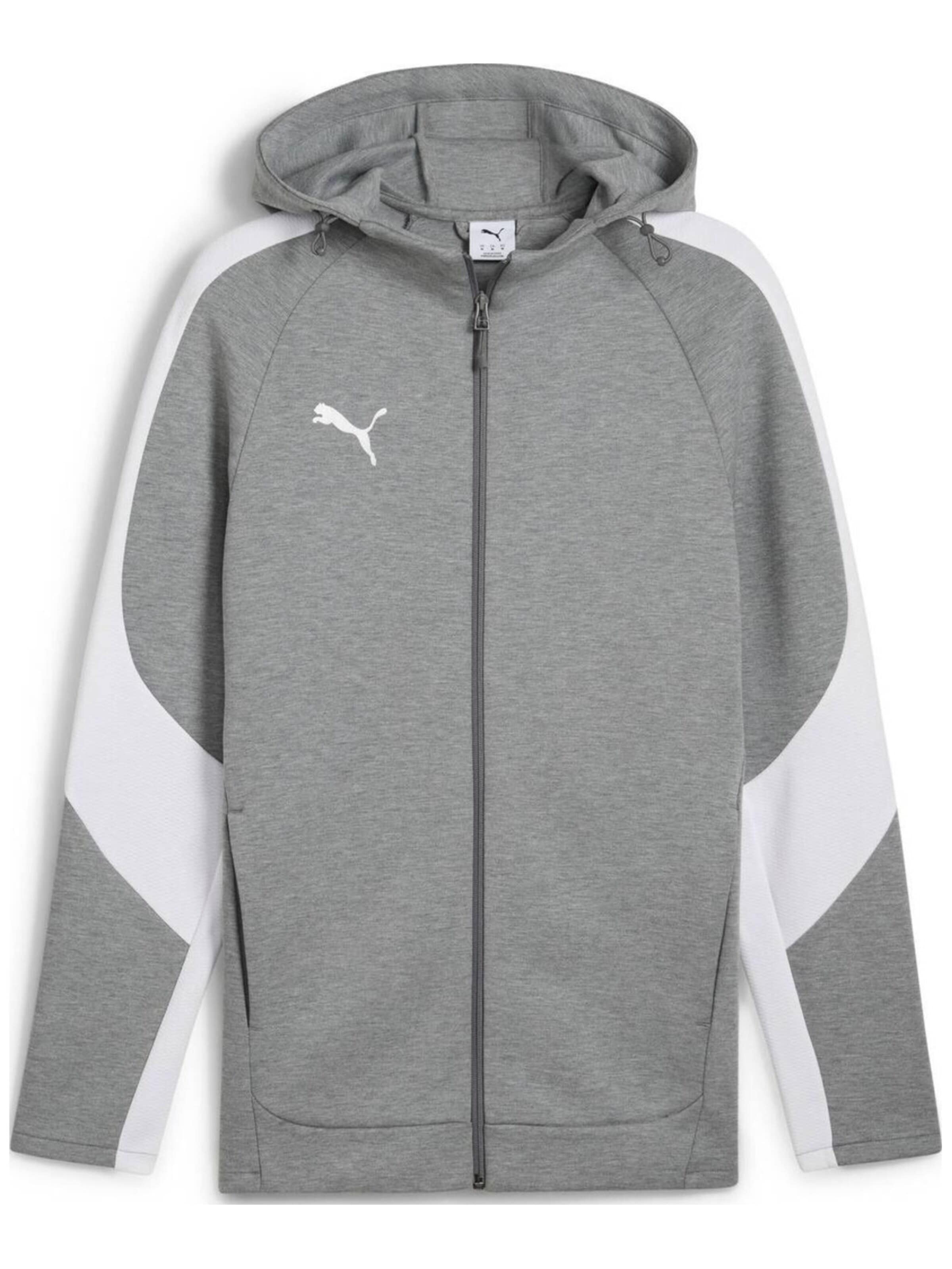 PUMA - Sudadera con cremallera 'Puma Teamevostripe Hooded Jacket Medium' en gris: frente
