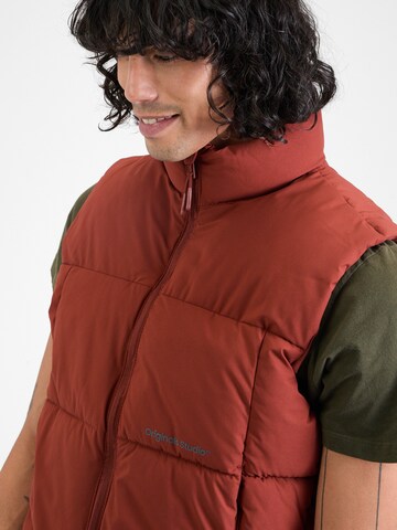 Gilet 'VESTERBRO' JACK & JONES en marron
