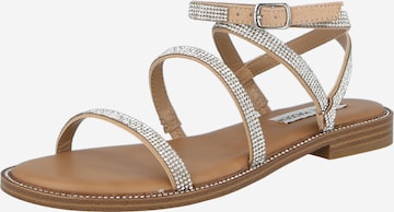 STEVE MADDEN - Sandalias con hebilla 'Transport-R' en gris: frente