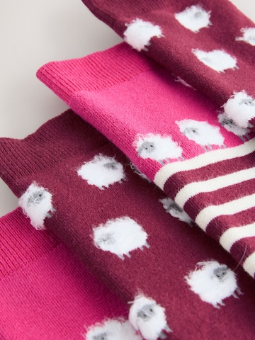 Next - Calcetines hasta la rodilla en lila