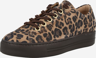 Paul Green Sneaker in 36 in braun / schoko / cappuccino, Produktansicht