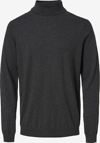 Salsa Jeans Pullover in Grau: Vorderseite