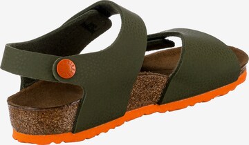 Chaussures ouvertes 'Palu' BIRKENSTOCK en vert