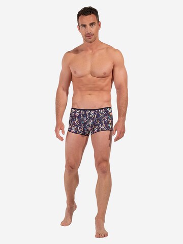 HOM Boxer shorts 'Viscaya' in Mixed colors