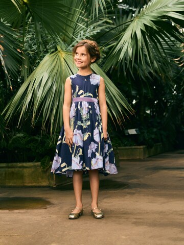 Next Dress 'Kew' in Blue
