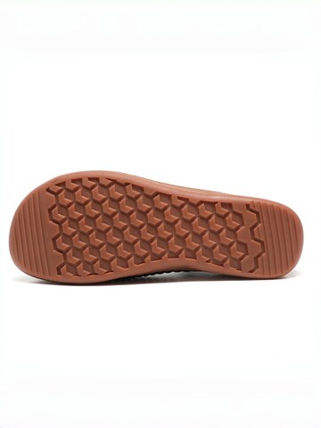 HUSKSWARE Slipper‌‌‌‌‌‌‌‌‌‌ in Blau