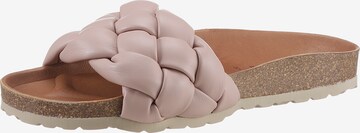 VERBENAS Mules in Pink: front