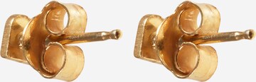 Jukserei Earrings 'Amore' in Gold