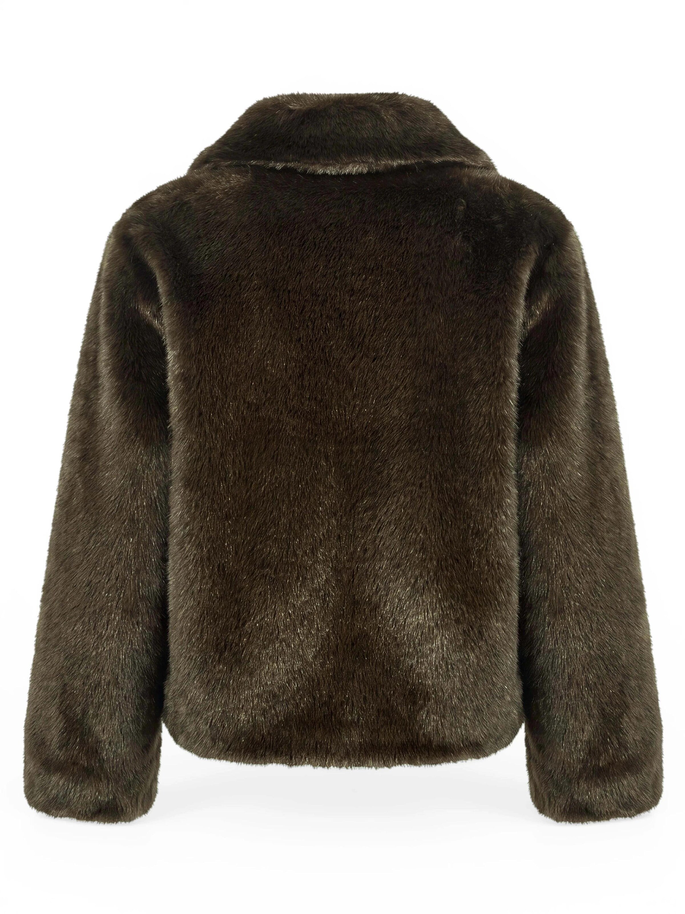 Funk since 1776 Winter Jacket 'Wendejacke' in Green