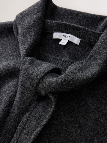 Next - Jersey en gris